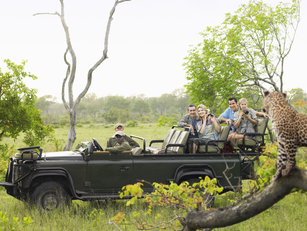 South Africa family safari holiday Kruger Sabi Sands