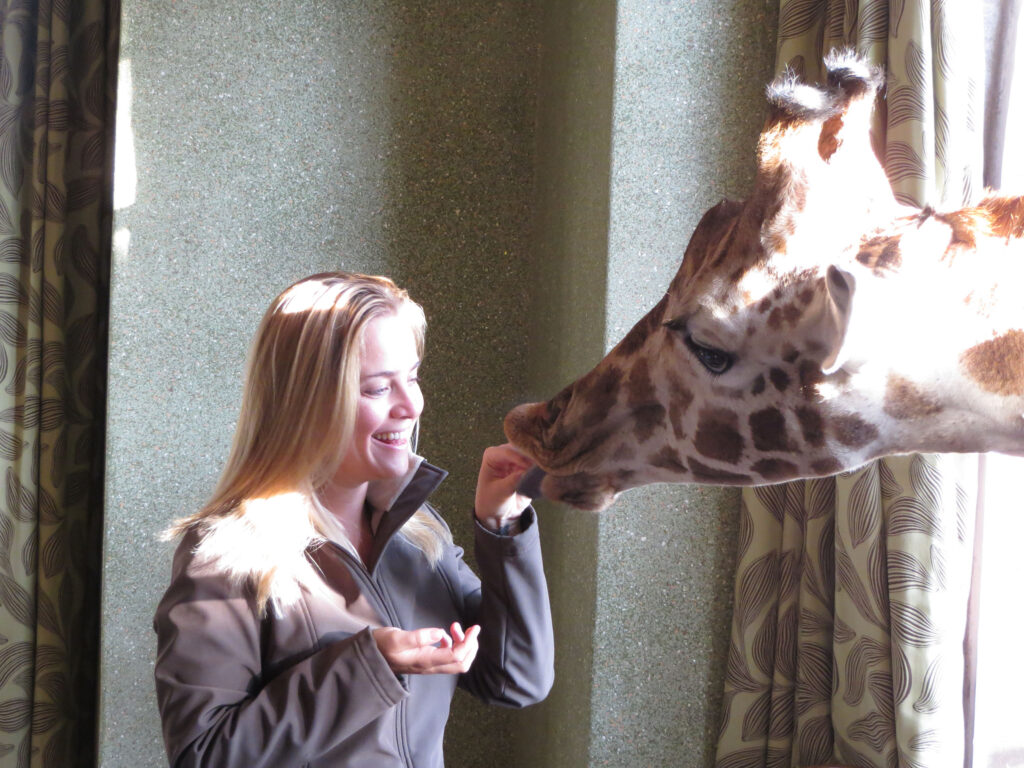 woman feeding giraffe Kenya family safari