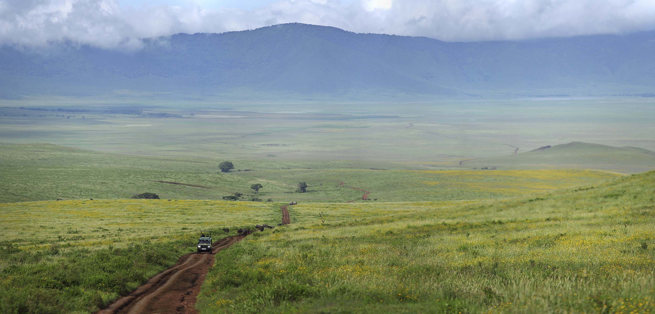 Highlands Ngorongoro landscape scenic Tanzania family safari