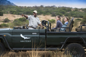 safari guide children game drive family