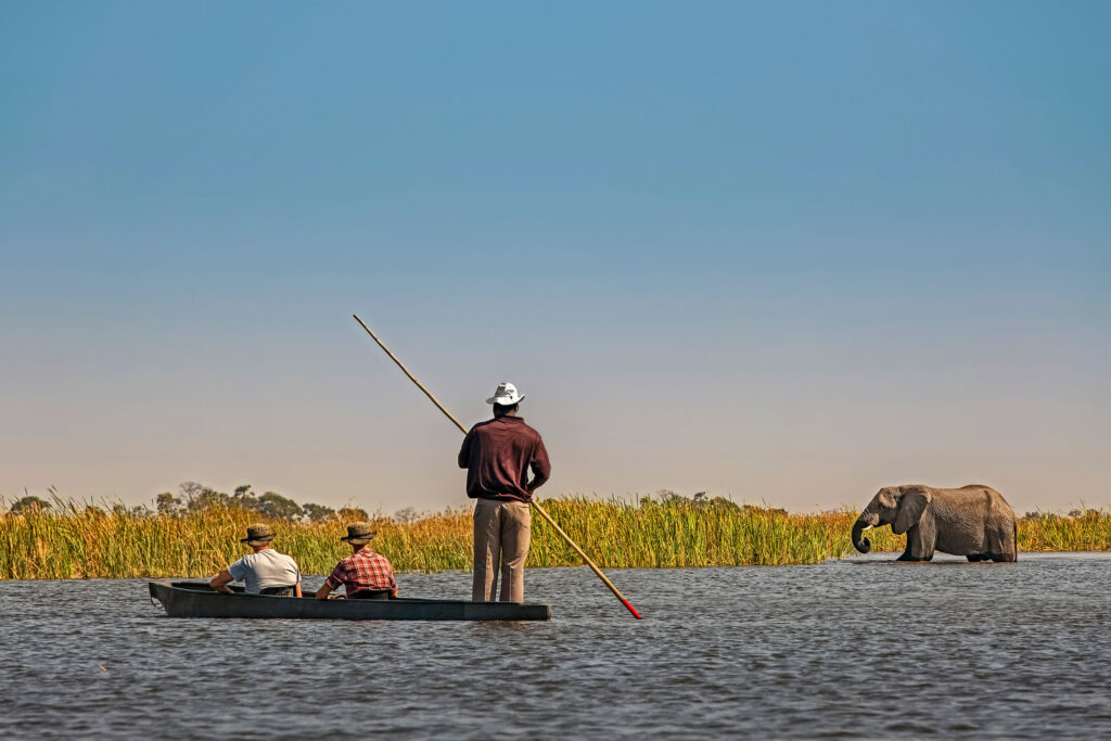 Botswana Okavango Delta mokoro elephant landscape boat safaris African safari holidays