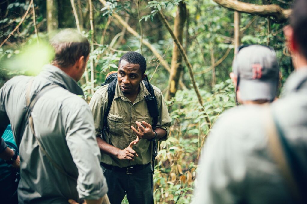 Tanzania Greystoke Mahale family safari