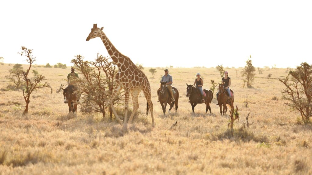 Kenya Lewa Wilderness family horse riding safari teenagers