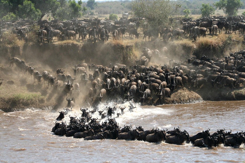 Tanzania Lamai Serengeti family safari