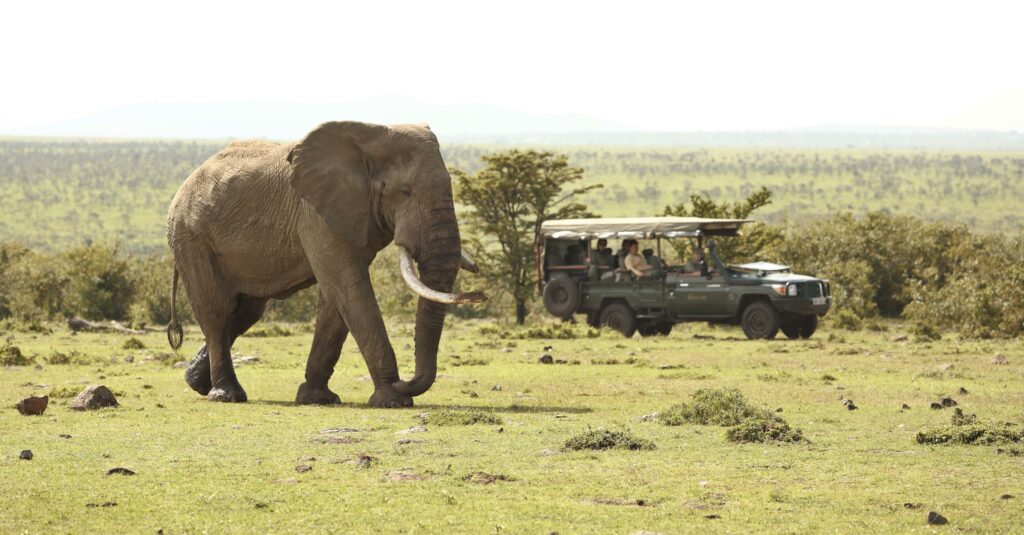 Kenya Masai Mara Naboisho best African safari tours for families