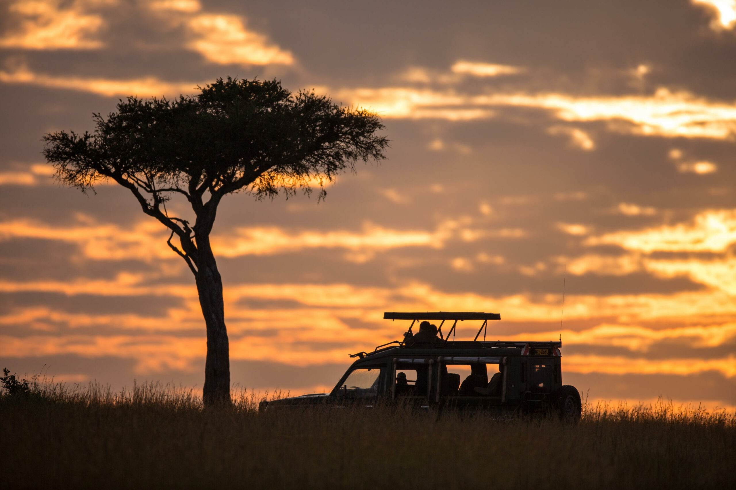 Kenya Masai Mara Elewana Sand River family safari