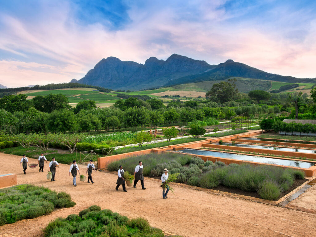 Babylonstoren Wine Farm Cape Winelands South Africa family holiday