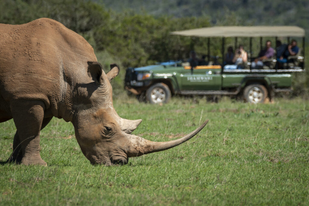 Riverdene Family Safari Lodge Shamwari Game Reserve South Africa