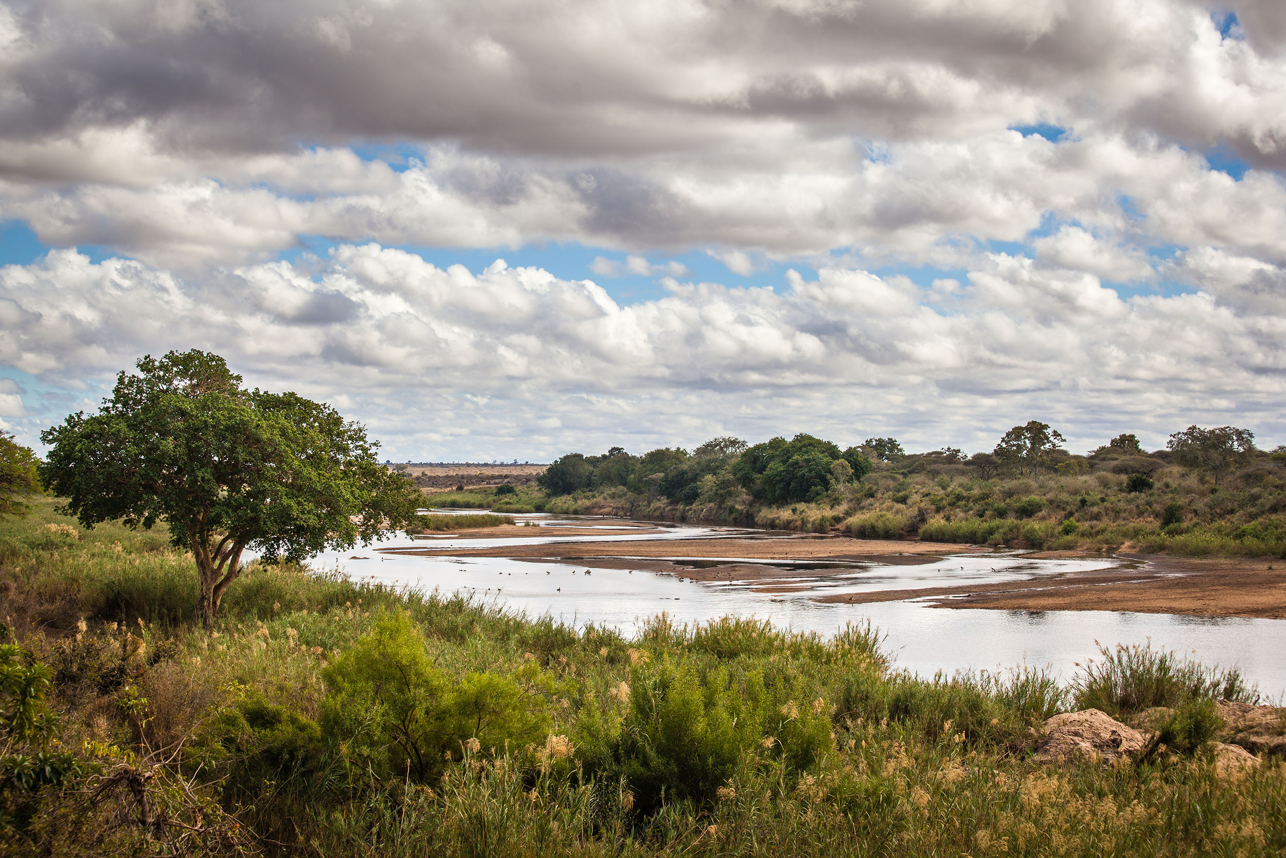 Kruger National Park landscape South Africa