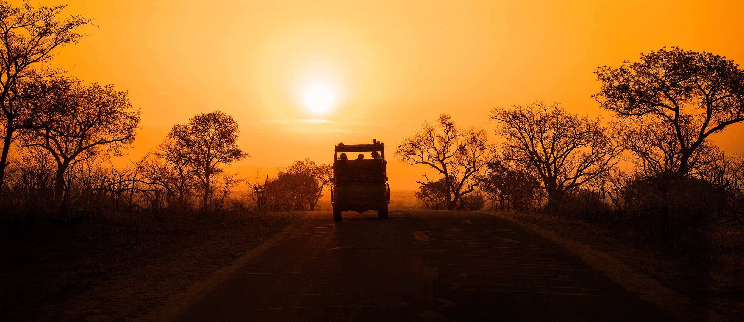 Kruger National Park sunset silhouette