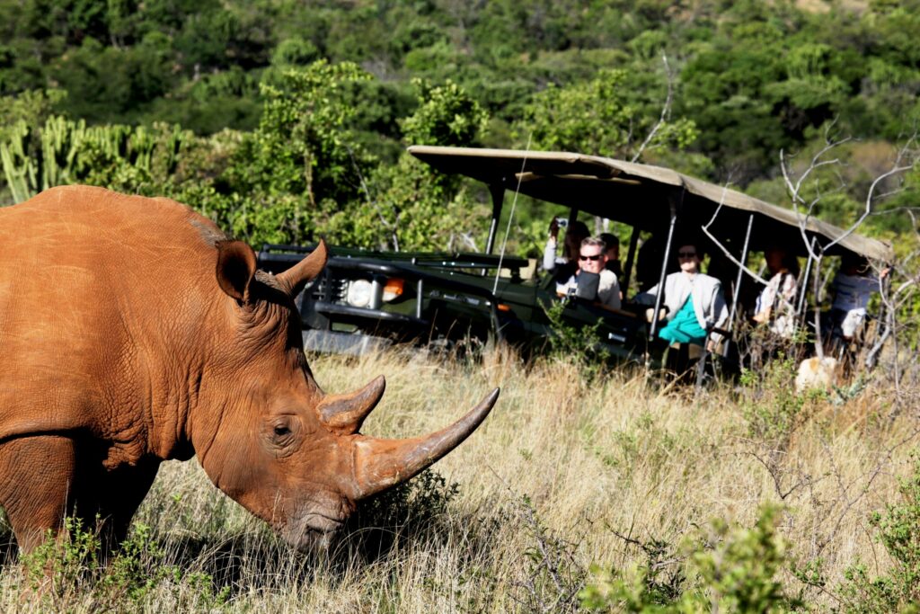 South Africa family safari