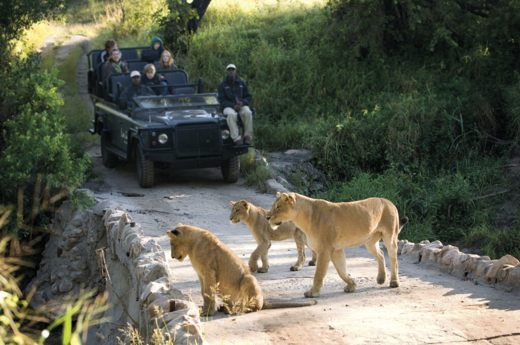 Lion Sands Game Reserve South Africa game drive