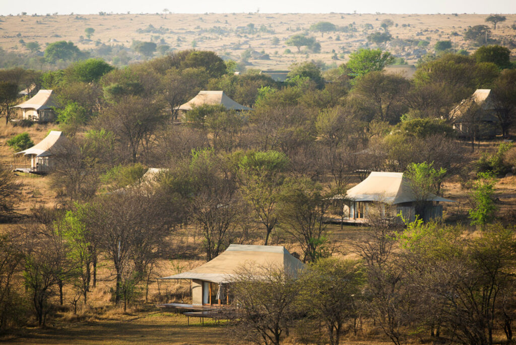 Sayari Camp Guest tents layout