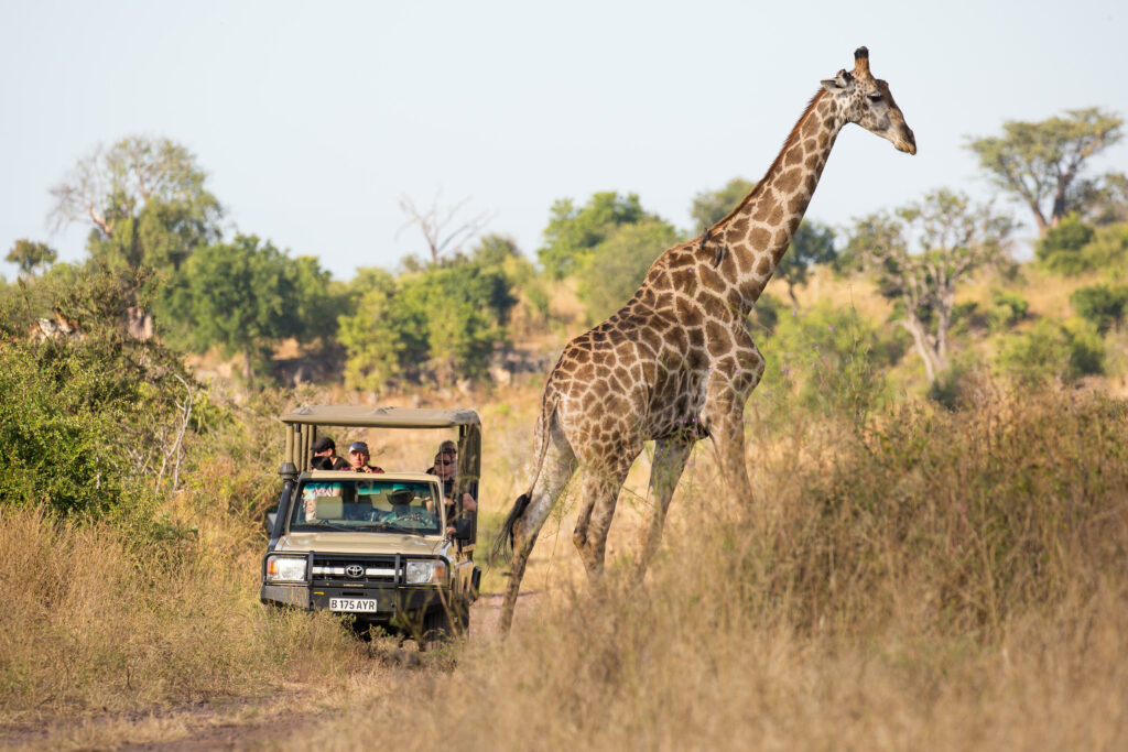 Ngoma Safari Lodge Luxury Family Safaris Botswana