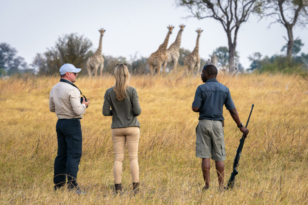 Savuti Camp Luxury Family Safaris Botswana