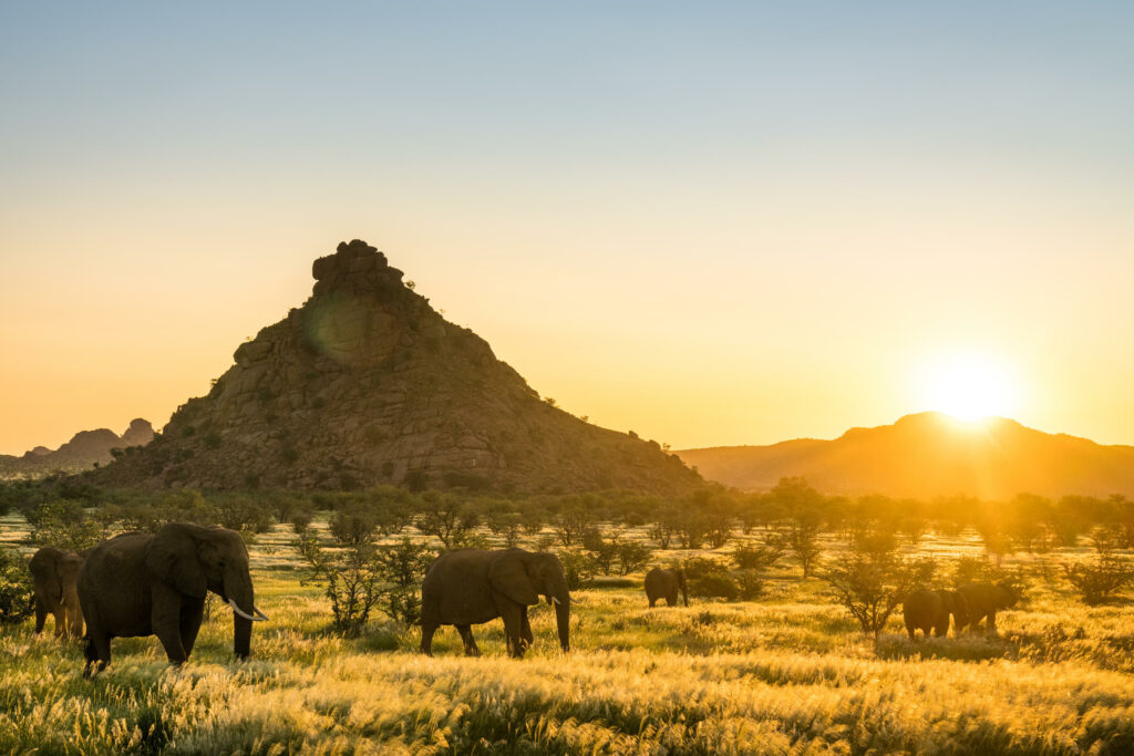 Mowani Mountain Camp Damaraland Namibia Luxury Family Holidays