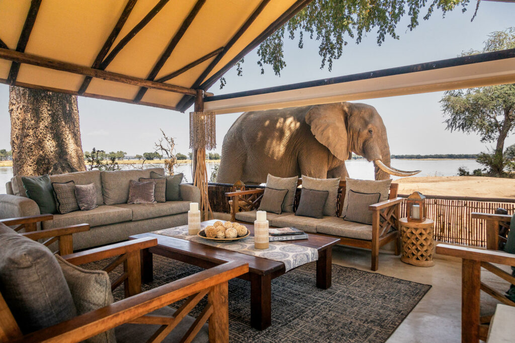 Old Mondoro Camp Luxury Family Safaris Zambia Coral Tree Travel