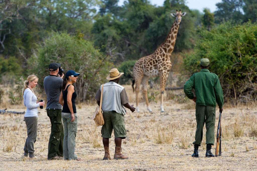 Flatdogs Camp Luxury Family Safaris Zambia Coral Tree Travel