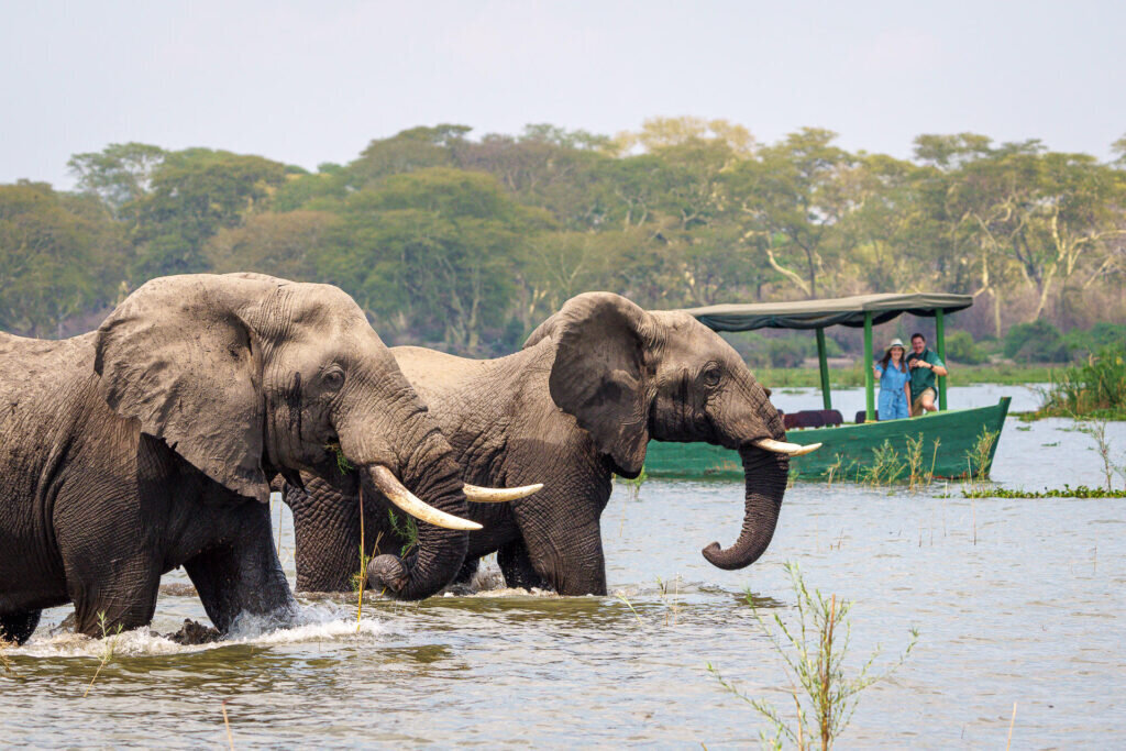 Malawi Family Safari Holidays