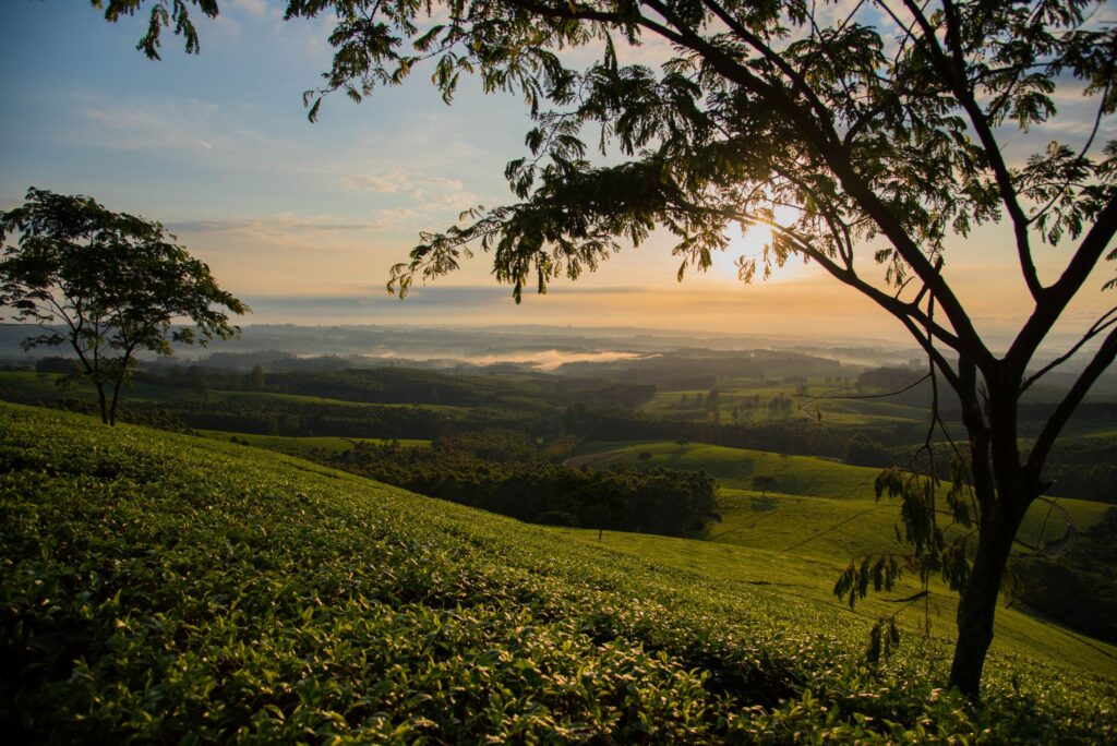 Malawi Luxury Family Safaris Coral Tree Travel
